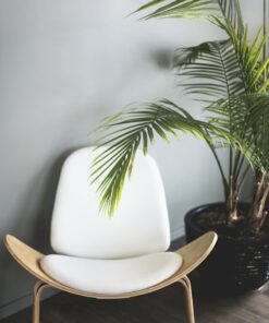 Classic brown leather armchair