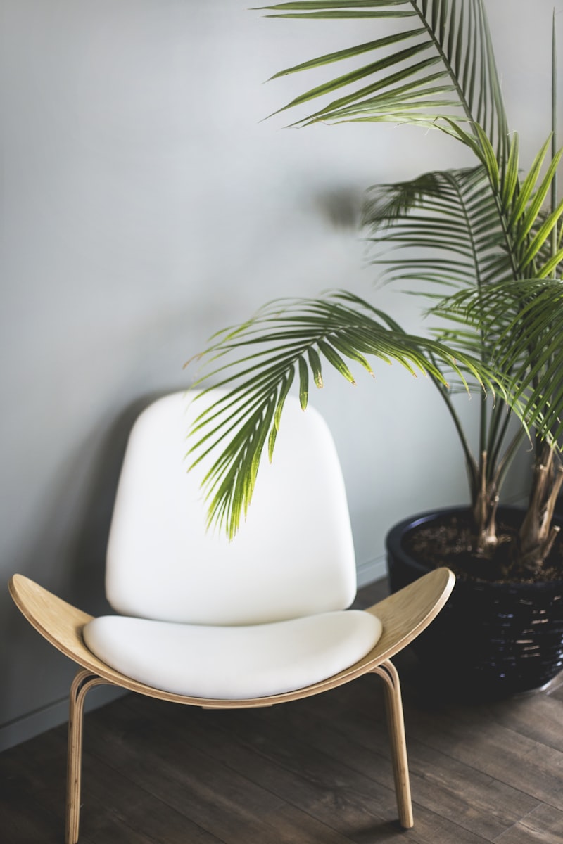 Classic brown leather armchair